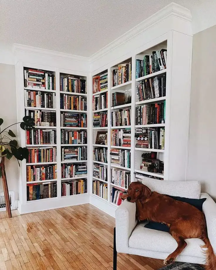 Scandinavian book shelf